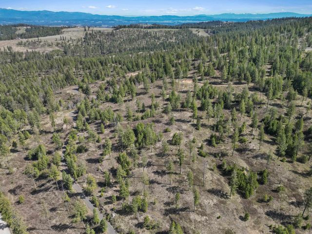 NKA N Moose Drool Ln, Spokane, WA 99208