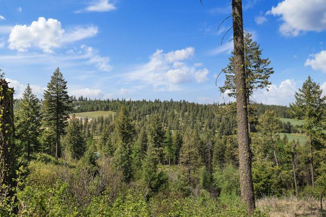 NKA N Moose Drool Ln, Spokane, WA 99208