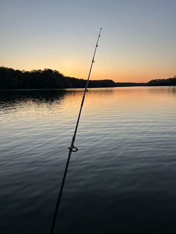 621 Lake Haven Dr, Tullahoma, TN 37388