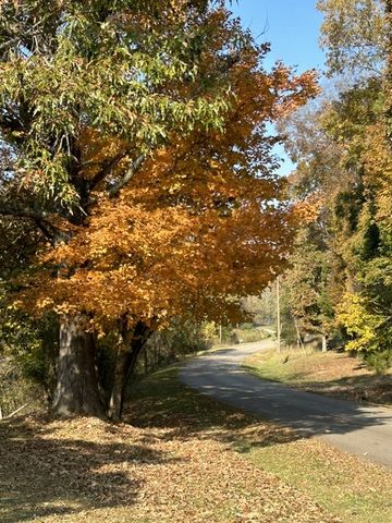 621 Lake Haven Dr, Tullahoma, TN 37388