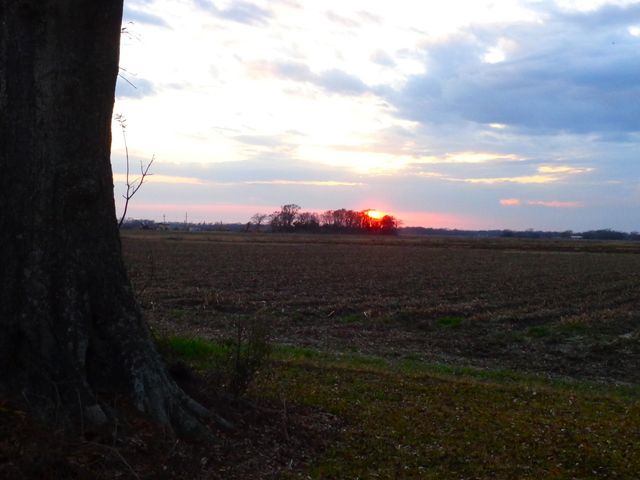 121 Creole Street, Belle Rose, LA 70341