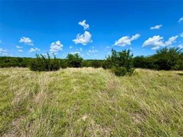 1145 Hidden Cove Trail, Glen Rose, TX 76043