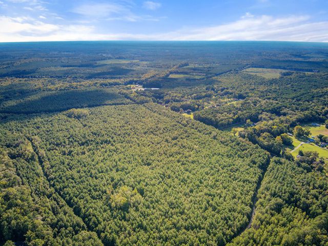 1739 Summers Drive, Ridgeville, SC 29472