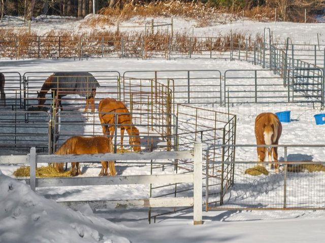 337 Middle Road, Brentwood, NH 03833