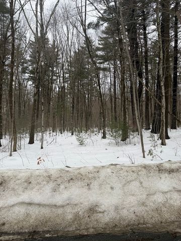 166V Beebe Rd, Monson, MA 01057