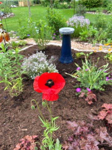 4251 State Highway 23, Norwich, NY 13815