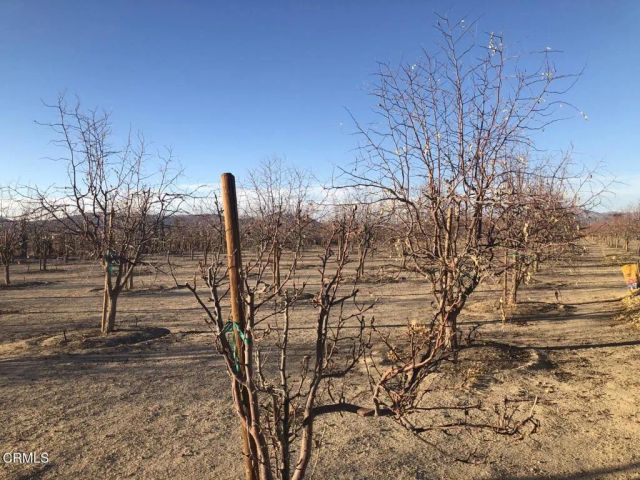 34738 Old Woman Springs Road, Lucerne Valley, CA 92356