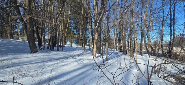 11575 Floria Road, Delton, MI 49046