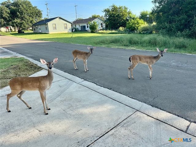 1400 Clyde Street B, San Marcos, TX 78666