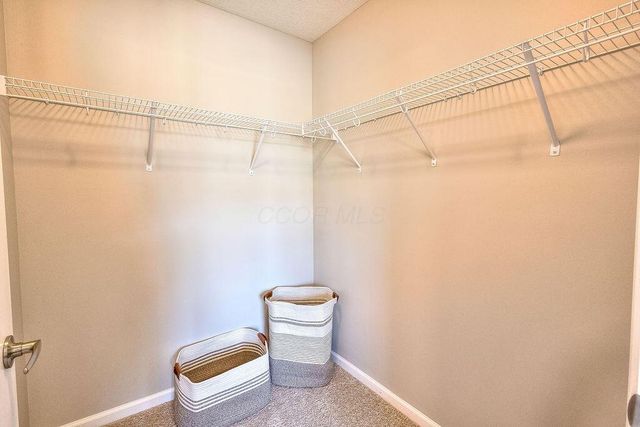 6113 Noble Horse Way, Westerville, OH 43081