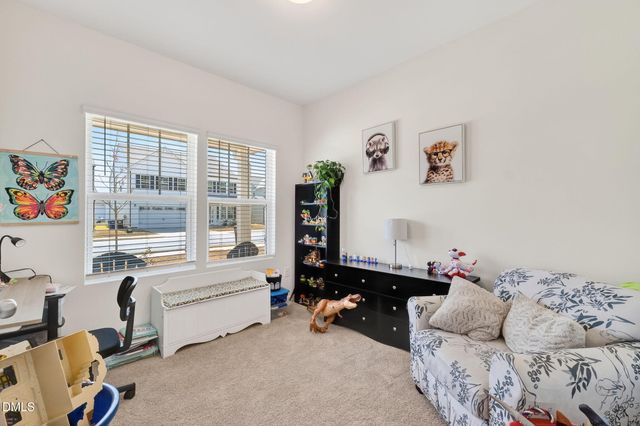 256 Horseshoe Place, Angier, NC 27501