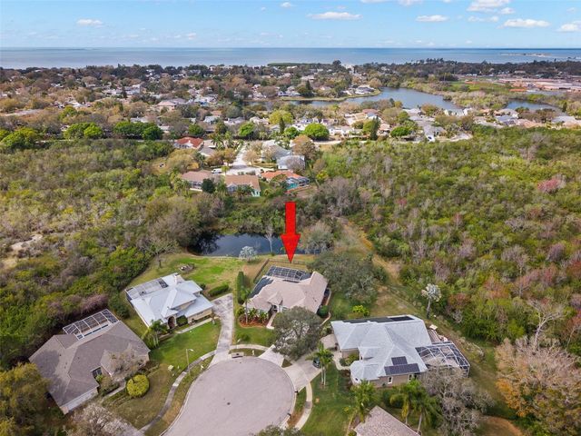 723 WATERSIDE COURT, Tarpon Springs, FL 34689