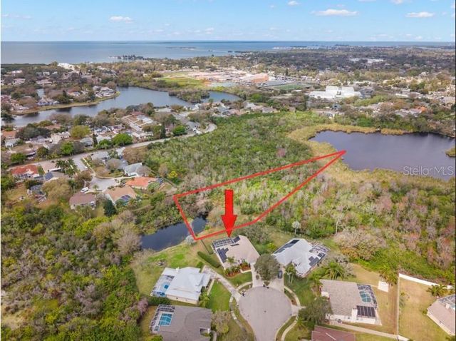 723 WATERSIDE COURT, Tarpon Springs, FL 34689