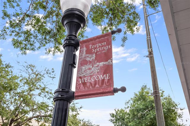 723 WATERSIDE COURT, Tarpon Springs, FL 34689