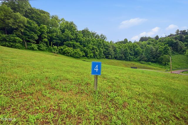Lot 4 Eagle Ridge Parkway, Butler, TN 37640