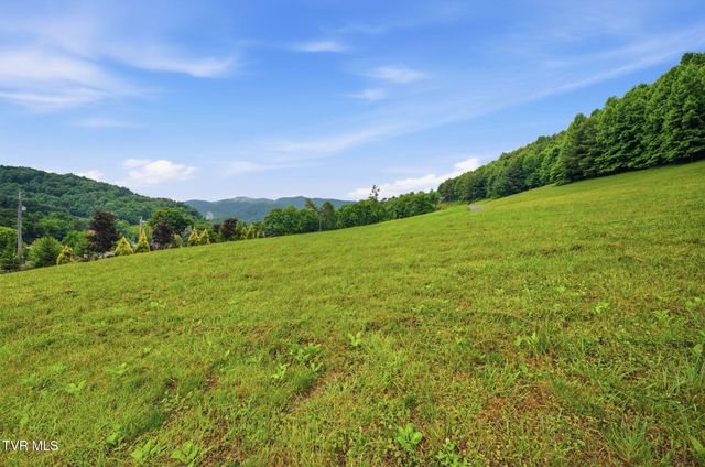 Lot 4 Eagle Ridge Parkway, Butler, TN 37640