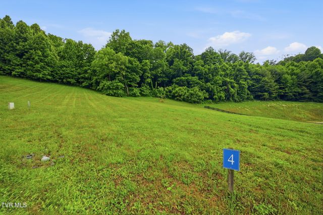 Lot 4 Eagle Ridge Parkway, Butler, TN 37640