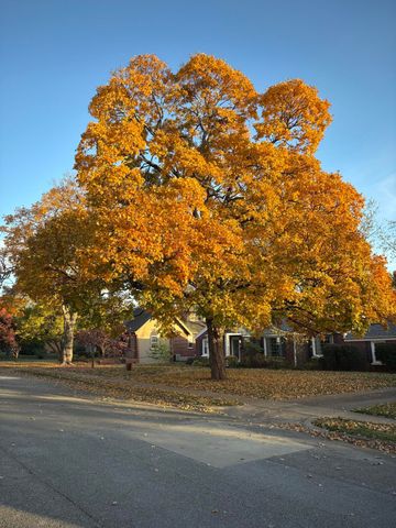 820 E Stanford Street, Springfield, MO 65807