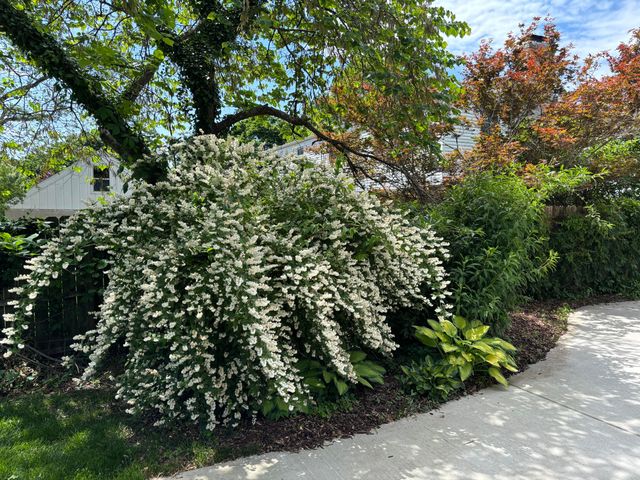 820 E Stanford Street, Springfield, MO 65807