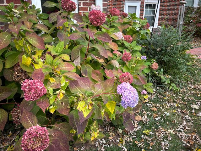 820 E Stanford Street, Springfield, MO 65807