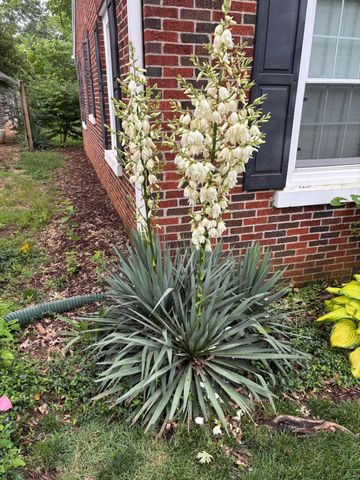 820 E Stanford Street, Springfield, MO 65807