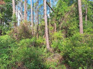 Lot 38 NE 512TH STREET, Old Town, FL 32680