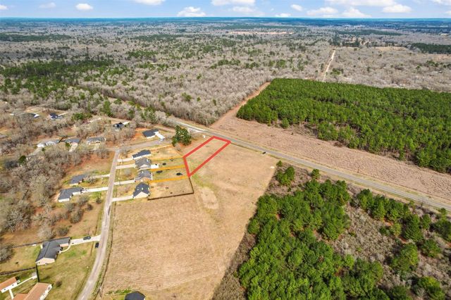 L-138 Fm 3126, Livingston, TX 77351