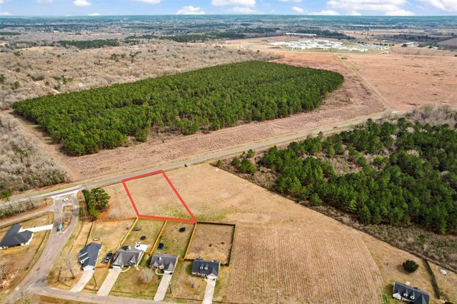 L-138 Fm 3126, Livingston, TX 77351