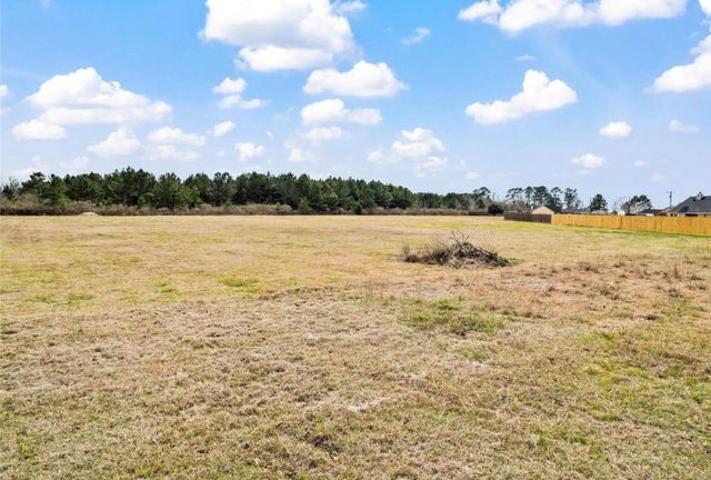 L-138 Fm 3126, Livingston, TX 77351