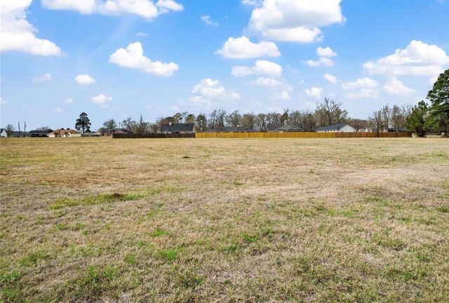 L-138 Fm 3126, Livingston, TX 77351