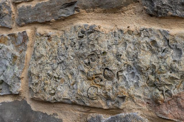 800 COVE MOUNTAIN RD, Mathias, WV 26812