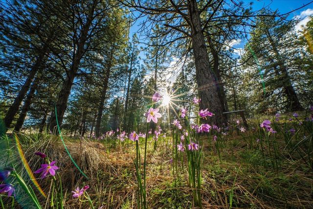 2012 S Molter Rd, Liberty Lake, WA 99019