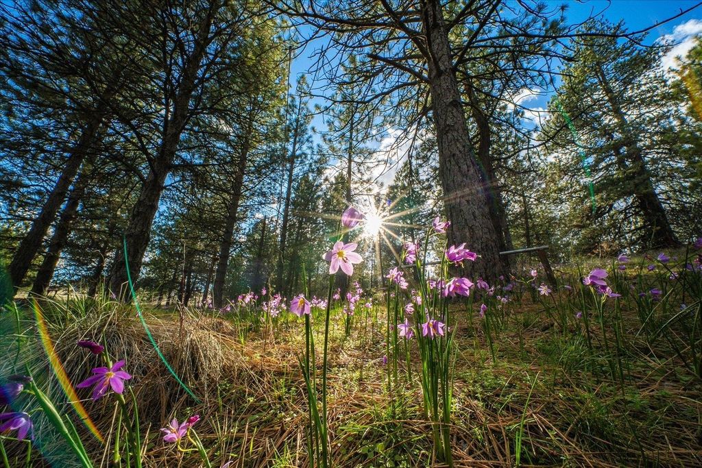 2012 S Molter Rd, Liberty Lake, WA 99019 photo 45