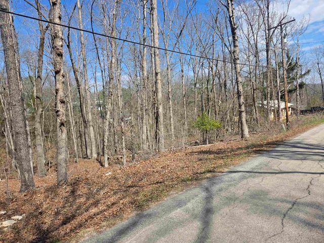 L5 B4 Powhatan Drive, Cherokee Village, AR 72529