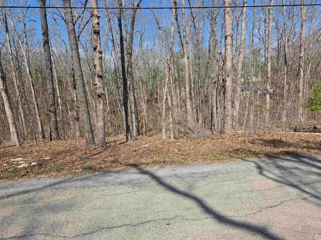 L5 B4 Powhatan Drive, Cherokee Village, AR 72529