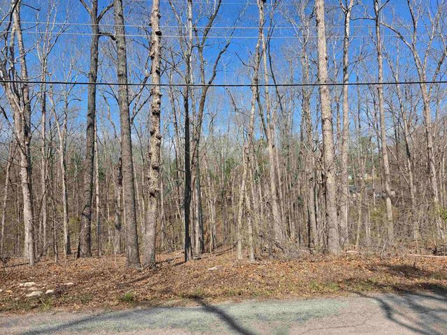 L5 B4 Powhatan Drive, Cherokee Village, AR 72529
