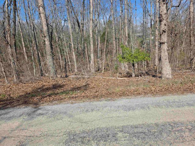 L5 B4 Powhatan Drive, Cherokee Village, AR 72529