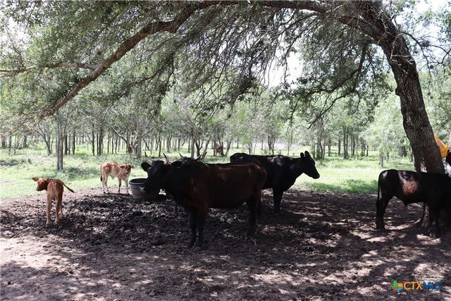 1220 Brushy Branch Road, Lockhart, TX 78644