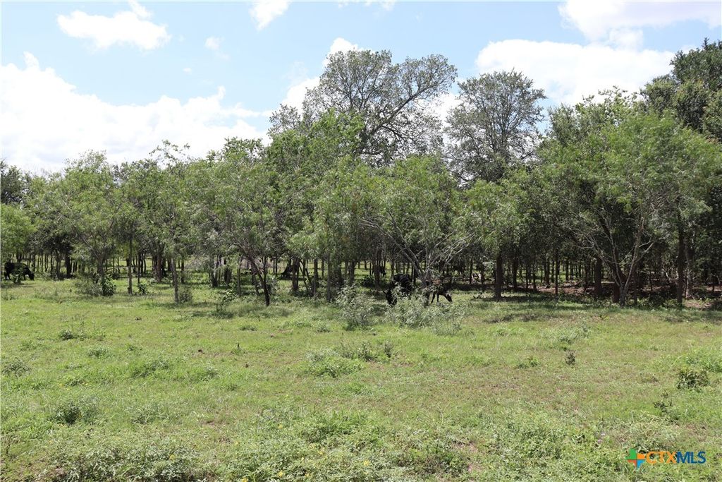1220 Brushy Branch Road, Lockhart, TX 78644