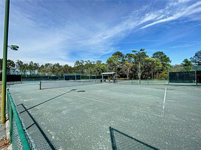 9408 NEW ORLEANS DRIVE, Weeki Wachee, FL 34613