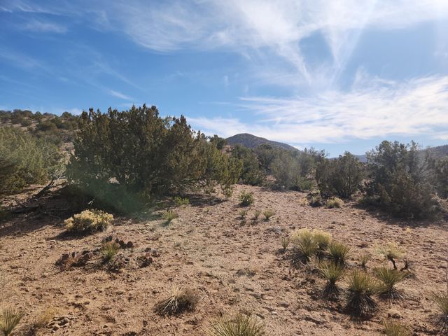 41 CAMINO DE LA ROSA CASTILLA, Placitas, NM 87043