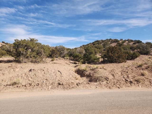 41 CAMINO DE LA ROSA CASTILLA, Placitas, NM 87043