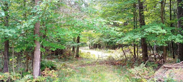 W8135 SAND ROAD, Neillsville, WI 54456