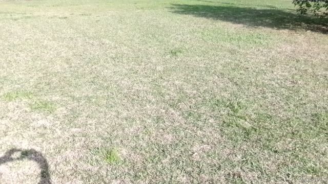 3399 Southmont Drive, Montgomery, AL 36105