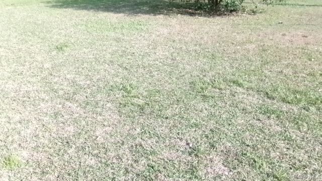 3399 Southmont Drive, Montgomery, AL 36105