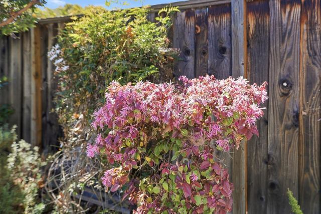 2242 Cabrillo Avenue, Santa Clara, CA 95050