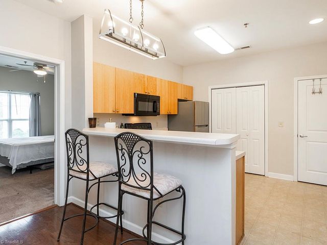 102 Campus Walk Trail 201, Elon, NC 27244