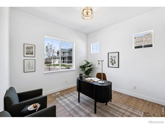842 Clydesdale Drive, Windsor, CO 80550