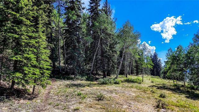 282 Fairview Drive, Florissant, CO 80816
