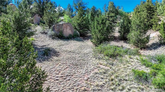 282 Fairview Drive, Florissant, CO 80816